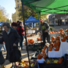 Színes virág kavalkád az őszi virágünnepen