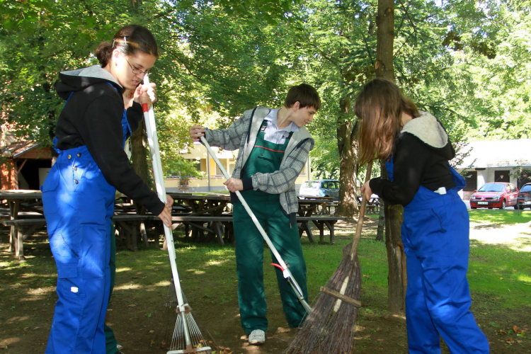 Parkgondozói álláslehetőség!