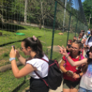 Gazdag programokkal várta a gyerekeket az öko-élménytábor