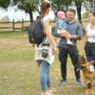 Idén is számos érdeklődőt vonzott a Mezgé piknik