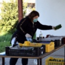 Nagy sikere volt az első piaci napnak