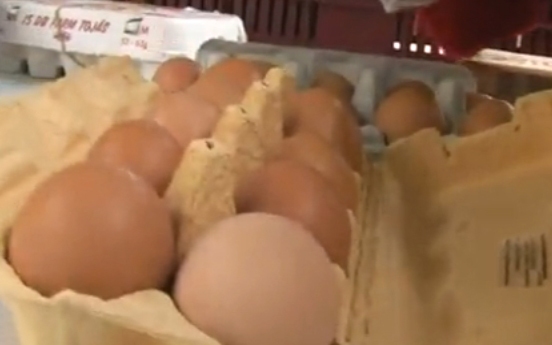 Baromfi Termék Tanács: irreális tojásakciók az üzletekben