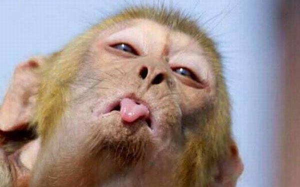 Hogyan jött a bolondok napja?