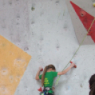 Magyar Hegy- és Sportmászó Szövetség Falmászó Versenyének Bajnoki Fordulója