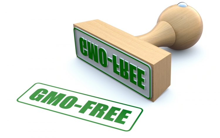 Jövő év elején kezdődhet a GMO-mentesség jelölése az élelmiszereken