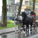 Nem számított az eső sem a szüreti felvonulóknak