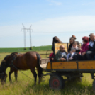 Gyermeknap a Tangazdaságban