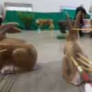 Újabb Országos Bajnoka lett a Koppányíjászoknak Dongó-Gárgyán Imola személyében!