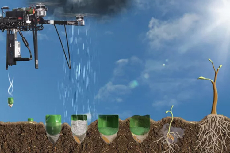 Két ember évente egymilliárd fát tud elültetni