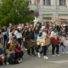 Együtt bolondoztak a végzős diákok