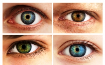 Milyen színű a szeme?