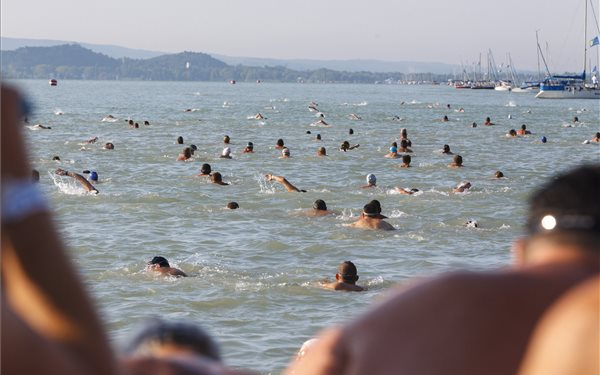 Több mint 7300 résztvevő a Balaton-átúszáson