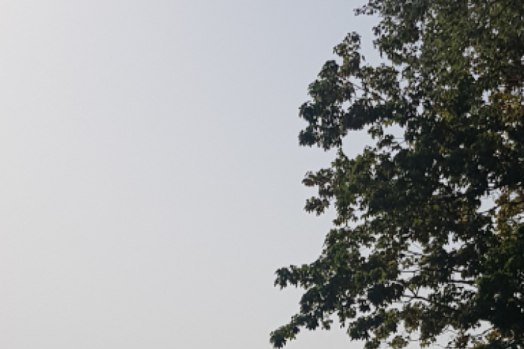 Noha elmaradt a repülős verseny, de remek pilótatalálkozó lett belőle Kiskunfélegyházán a hétvégén