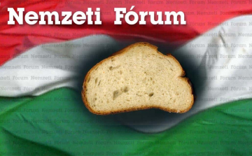 A Nemzeti Fórum frakciójának nyilatkozata a Képviselő-testület feloszlatásáról szóló sürgősségi indítványról