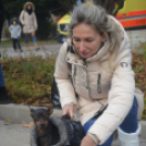 Több mint hétszázan búcsúztatták az óévet futással Kiskunfélegyházán