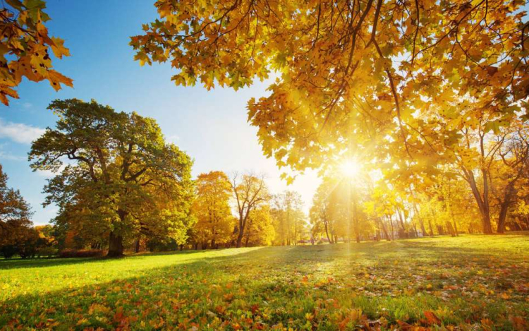 Tíz fokos hőmérésklet-különbség is lehet országon belül