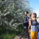 Barangolás az bugaci ősborókásban