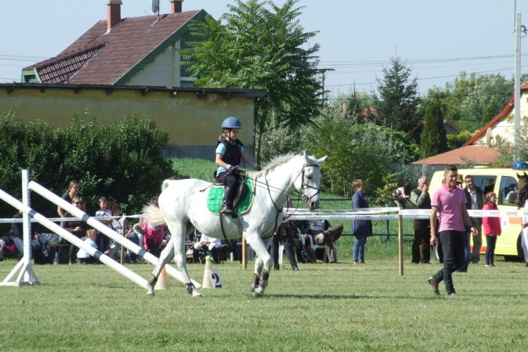 Lovasverseny lesz a Vasas-pályán