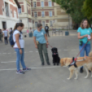 Izgalmas programok színesítették a Kutatók éjszakáját a Móra gimiben