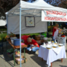 Kreatív ízek és hagyományos receptek találkoztak a Libafesztivál főzőversenyén