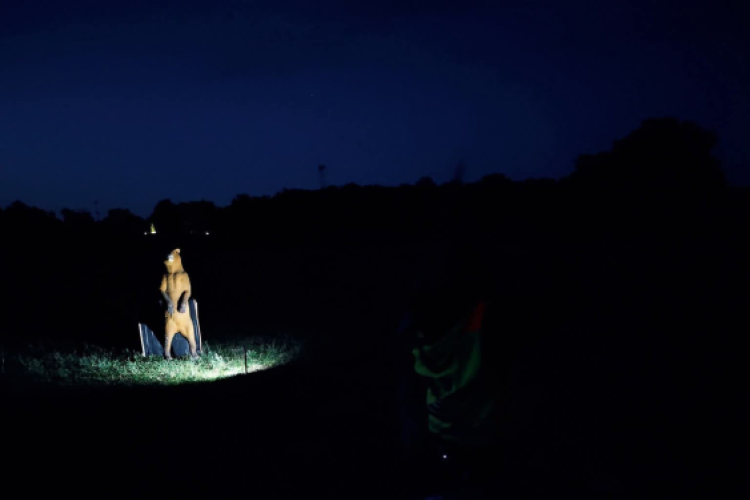 Júliusi Turul Koppány Verseny Eredmények