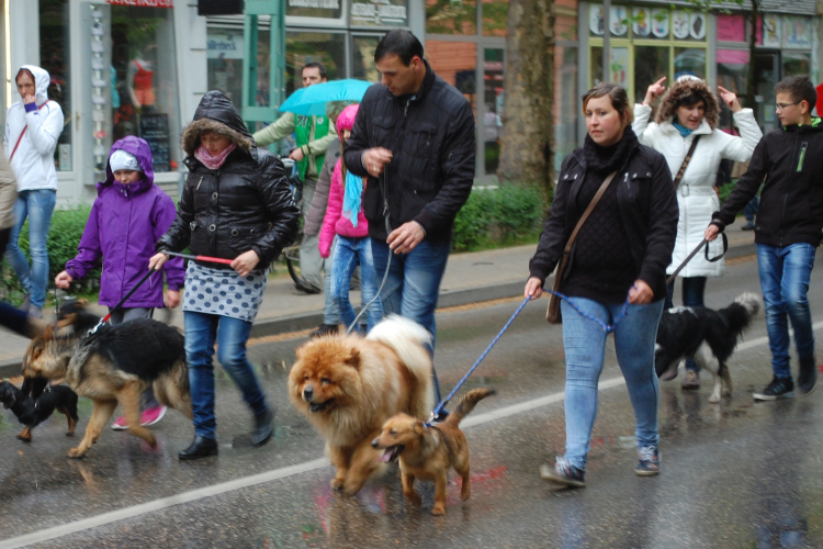 Sokan érkeztek szőrös, négylábú barátaikkal