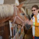 Tömegeket vonzott a Mezgé piknikje a tangazdaságba