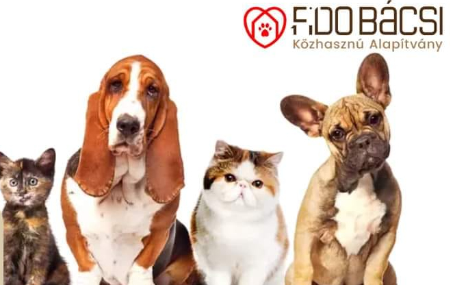 Ingyenes ivartalanítási akció