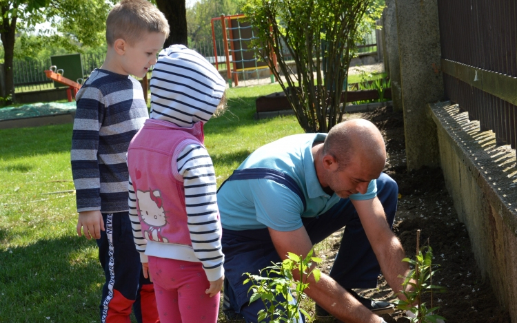 Az óvodások bokrokat ültettek a Madarak és a Fák Napja alkalmából