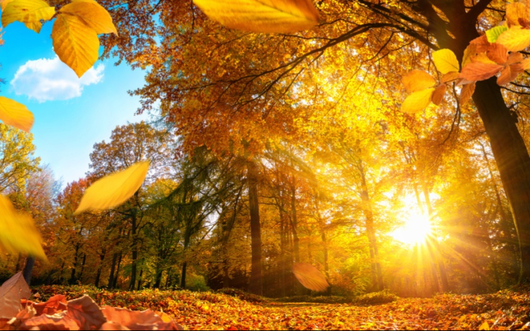 Továbbra is marad a meleg, napsütéses idő