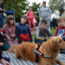 Családi délutánt rendeztek a Gyepmesteri Telepen