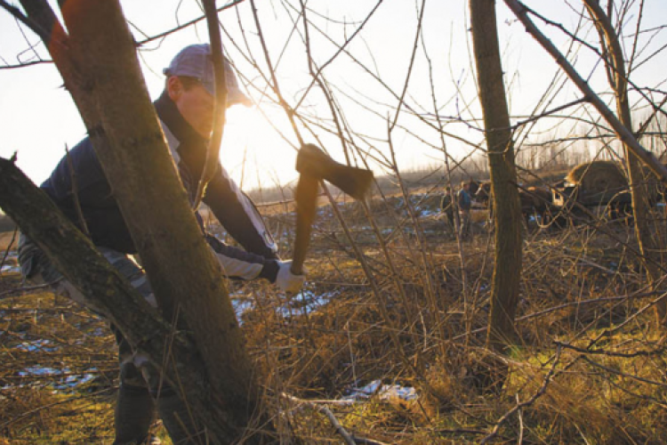 Eredetigazolással lehet csak tűzifát venni? 