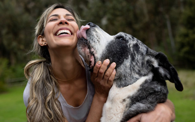 Tíz dolog, amivel a kutyád jelzi: szeret téged