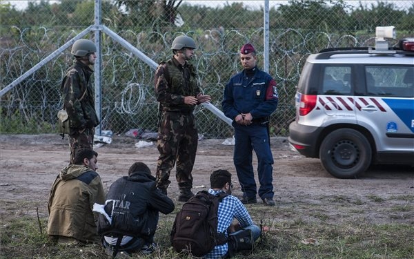 Illegális bevándorlás - Megrongálták Röszkénél a határkerítést