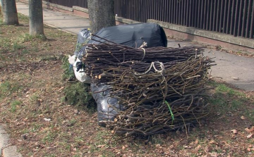 2019. évi Zöldjáratok