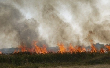 A Kiskun Nemzeti Parkban tűz keletkezett