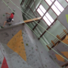 Magyar Hegy- és Sportmászó Szövetség Falmászó Versenyének Bajnoki Fordulója