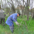 Kossuthvárosi parkszépítés