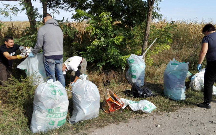 A Zöldmező Lakótelep is csatlakozott a TeSzedd akcióhoz 