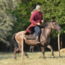 Viadalon tették próbára magukat