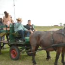 Idén is számos érdeklődőt vonzott a Mezgé piknik