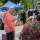 Káprázatos virágözön ékesítette Kiskunfélegyháza főterét