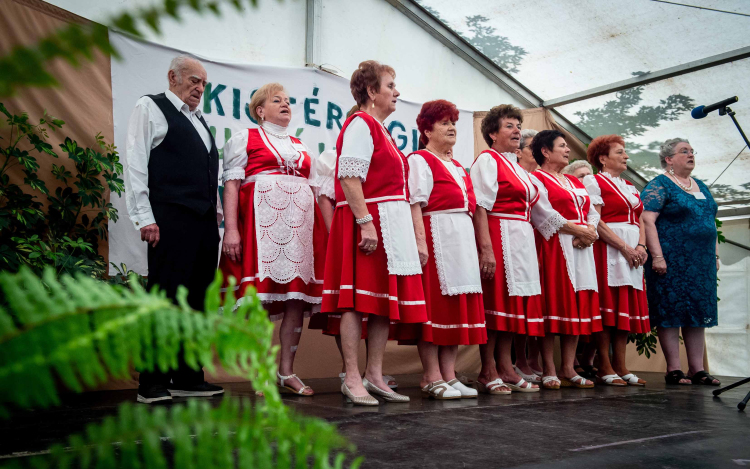 Kulturális találkozót tartottak a Kiskunfélegyháza környéki nyugdíjas klubok