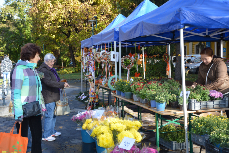 Őszi virágvásár lesz szombaton a Béke téren