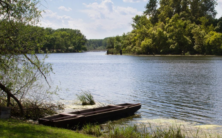 Újjáélesztik a Holt-Tisza és három holtágának élővilágát