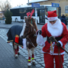 Útra kelt a Mikulás