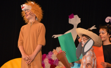 Tehetségkutató versenyt tartottak a speciális nevelési igényű diákok részére