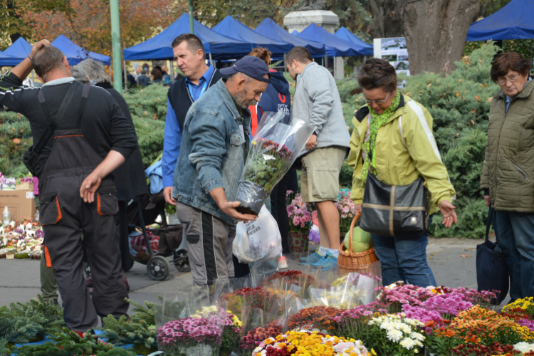 Őszi Virágvásár a művelődési központ szervezésében