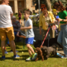 Több mint hétszázan neveztek a Kiskun Kupa utcai futóversenyre