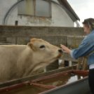 Idén is számos érdeklődőt vonzott a Mezgé piknik